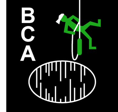 British Climbing Association